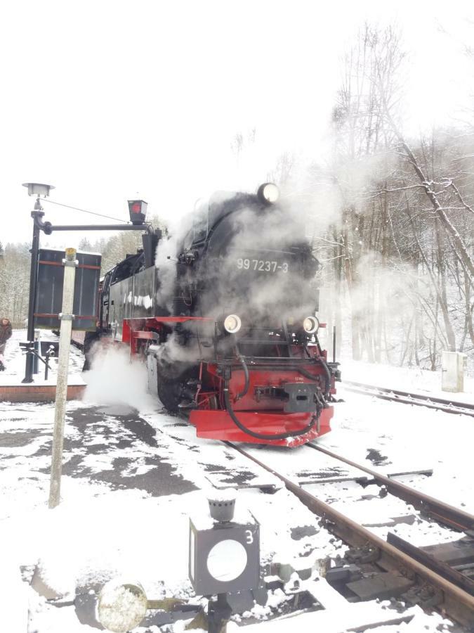 "Ferienhaeuser" Am Waldesrand Mit Und Ohne Garten Knusperhaeuschen, Teufelsloch, Walpurgishuette, Brockenhuette Вернигерод Екстериор снимка